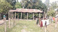 লাখাইয়ে ৪২ বছরের পুরোনো জরাজীর্ণ পরিত্যক্ত ফিশ শেড যেন দেখার কেউ নেই