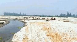 যমুনার ডুবোচরে বন্ধ নৌঘাট, বালুপথে যাচ্ছে কৃষিপণ্য