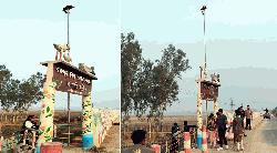 রাণীনগরের পাখি পল্লী ও মৎস্য অভয়াশ্রমের মাছ রক্ষার্থে সিসিটিভি ক্যামেরা স্থাপন