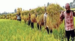 কৃষককে মর্যাদা দিন দেশকে এগিয়ে নিন