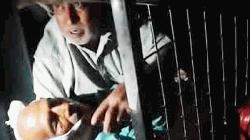 চন্দনাইশে গরু লুটে বাধা দিলে মালিককে গুলি করে হত্যা