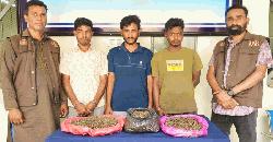 উত্তরাঞ্চলের পাঁচ জেলায় গরু চোর, মাদকসহ গ্রেপ্তার ৮