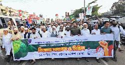 গণভোটের রায় বাস্তবায়ন ও জ্বালানি সংকট নিরসনের দাবিতে সাতকানিয়ায় বিক্ষোভ মিছিল 