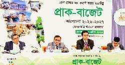 অর্থনীতিতে স্বাভাবিকতা ফিরিয়ে আনতে জোর দিচ্ছে সরকার : বাণিজ্যমন্ত্রী