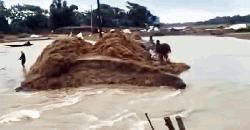 মধ্যনগরে বাঁধ ভেঙ্গে ৬৮ হেক্টর জমির ধান মারাত্মক ঝুঁকিতে