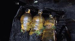 রাজশাহীর পবায় টিসিবির গোডাউনে ভয়াবহ অগ্নিকাণ্ড, পণ্য পুড়ে ছাই