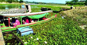 কাপ্তাই জেটিঘাটে কচুরিপানার স্তূপে নৌযান চলাচল ব্যাহত