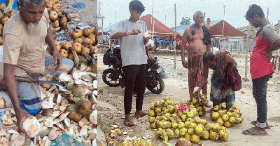 তৃষ্ণা নিবারনে জনপ্রিয় হয়ে উঠছে তালশাঁস