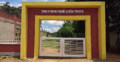 শিক্ষা থেকে বঞ্চিত চা শ্রমিক পরিবারের শিশুরা