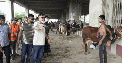 হাটের নির্ধারিত সীমানার বাইরে থেকে পশু সরিয়ে দিলেন ডিএনসিসি প্রশাসক