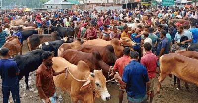 পশু কোরবানির জন্য স্থান নির্ধারণ করে দিল ডিএসসিসি