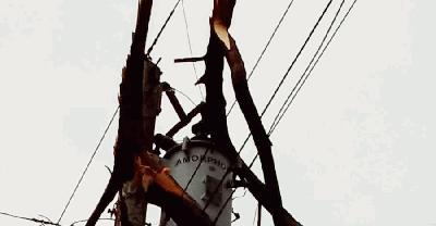 কালবৈশাখীর তাণ্ডবে ম্লান ঈদের আনন্দ