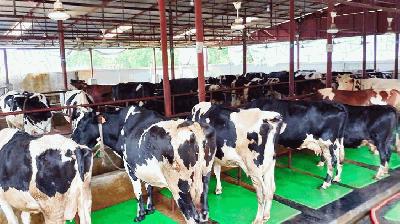 অর্থনৈতিক টানাপোড়েনে খামারিদের দীর্ঘশ্বাস