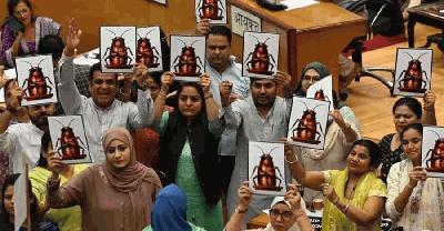 ভারতের ককরোচ পার্টির বিক্ষোভ দ্রুত ছড়িয়ে পড়ছে