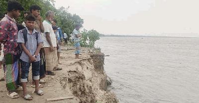 নদীভাঙনে বিলীন হচ্ছে ঘরবাড়ি ও ফসলি জমি, আতঙ্কে নদীপাড়ের মানুষ