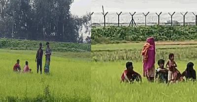 রৌমারী সীমান্তে শূন্য রেখায় ৩ দিন ধরে পুশইন চেষ্টা, ৯ জনের মানবেতর জীবনযাপন    
