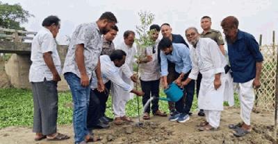 ধামরাইয়ে খাল পুনঃখননের পর দুই পাশে ৪ শতাধিক গাছের চারা রোপণ