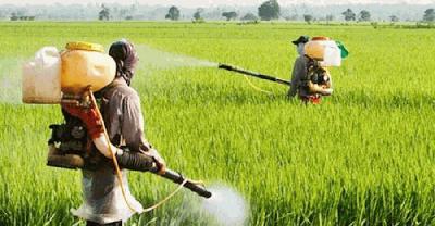 কৃষিতে সার-কীটনাশক ব্যবহারে মানতে হবে বৈজ্ঞানিক পরামর্শ