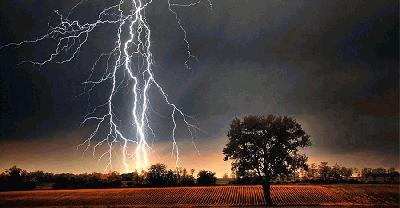 সাভারে বজ্রপাতে প্রাণ গেল ৩ কৃষকের