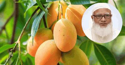 সংসদে সবার জন্য আম উপহার দিলেন বিরোধীদলীয় নেতা 