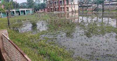 শার্শায় জলাবদ্ধতায় দুই শিক্ষা প্রতিষ্ঠানে পাঠদান ব্যাহত