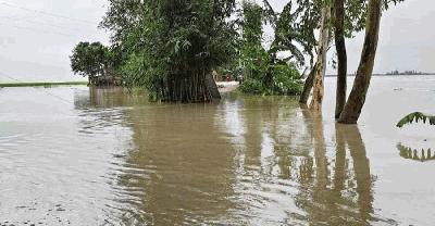 পাঁচ নদীর পানি বিপৎসীমার ওপরে