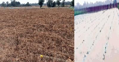 বালুর স্তূপে তলিয়ে ৮১ কোটি টাকার স্বপ্ন   