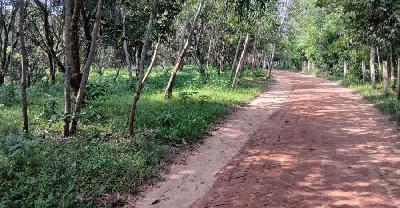 পৈত্রিক সম্পত্তি দখল ও অর্থ আত্মসাতের অভিযোগ বড় ভাইয়ের বিরুদ্ধে   