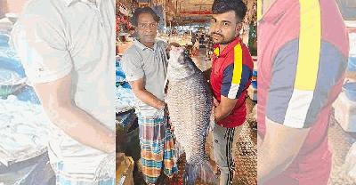 চট্টগ্রামে ২১ কেজির কাতলা, বিক্রি হলো ৩১ হাজার টাকায়