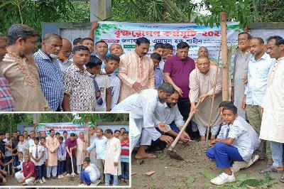 শাজাহানপুরে কামারপাড়া উচ্চ বিদ্যালয়ে বৃক্ষরোপণ কর্মসূচি