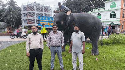 শর্ত ভঙ্গ করায় সাফারি পার্কে ফিরিয়ে আনা হচ্ছে হাতি নিহার কলি ও সম্রাট বাহাদুরকে