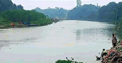 রাতারাতি কালচে বারনই নদী, সকালে পানিতে শুধু মরা মাছ!